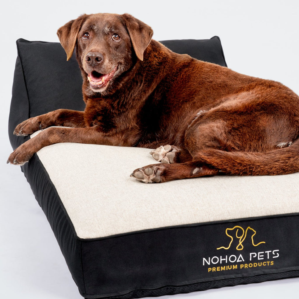 Cama ortopédica Nohoa Grafite Collection