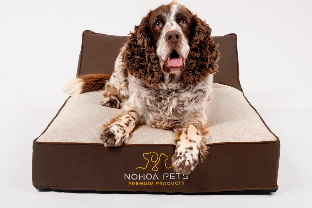 Cama ortopédica Nohoa Terra Collection