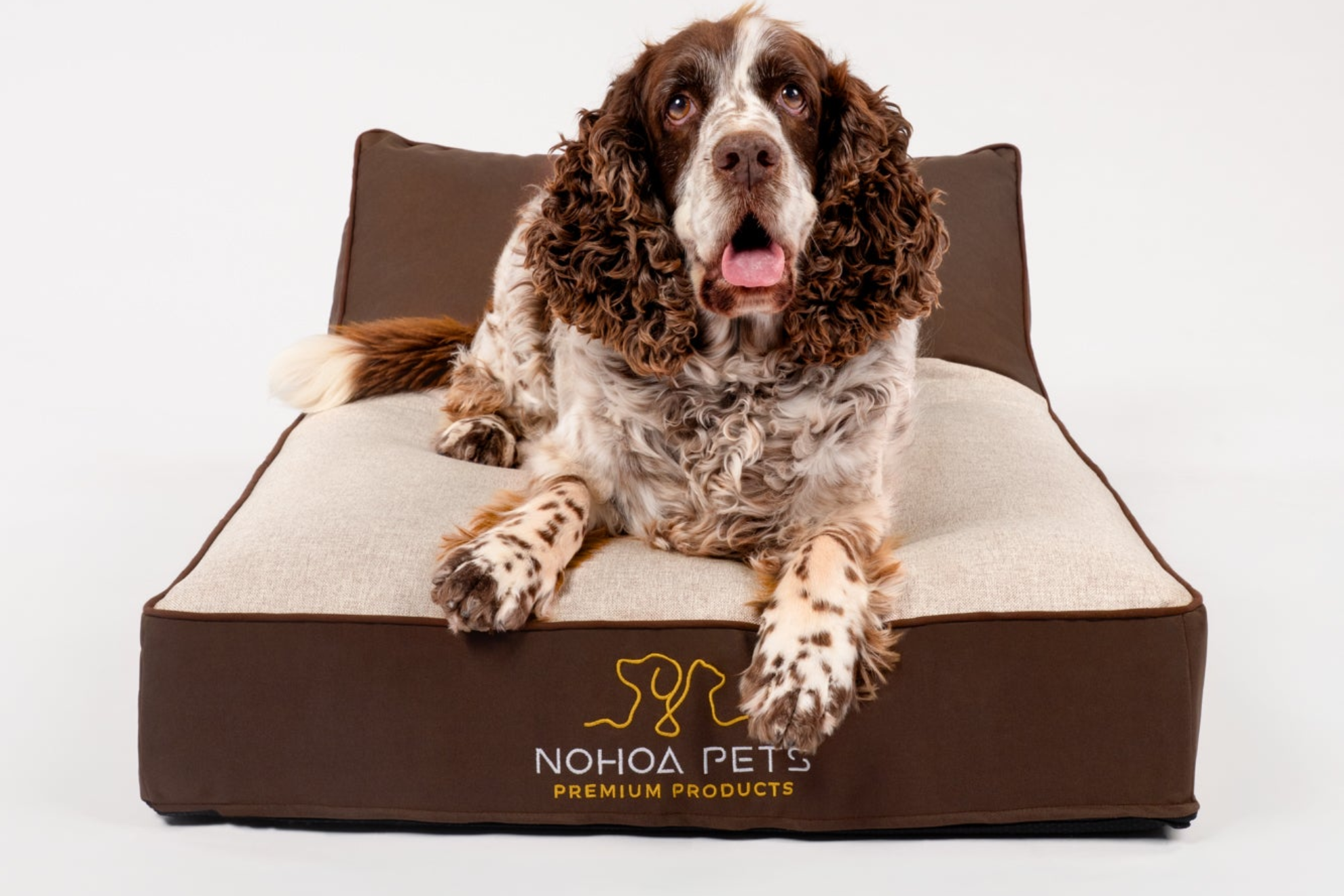 Cama ortopédica Nohoa Terra Collection